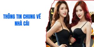 100vip-co-uy-tin-khong-tong-quan