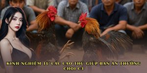 da-ga-c3-100vip-kinh-nghiem