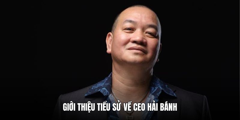 tim-hieu-chung-ve-ceo-hai-banh-vip