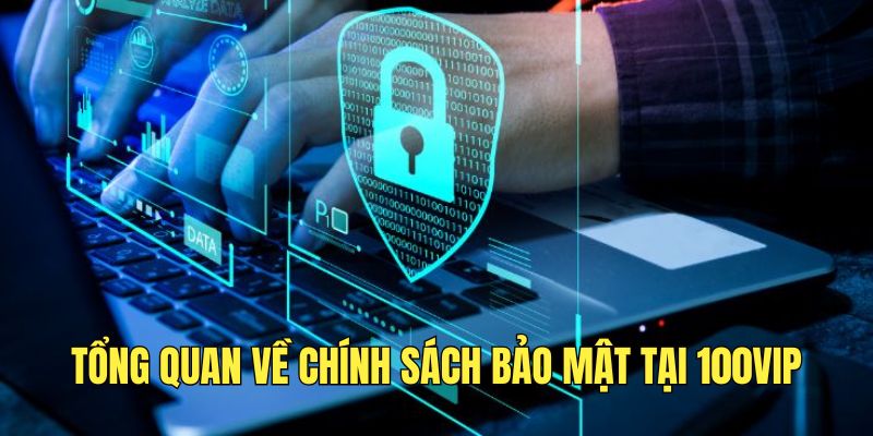 tim-hieu-thong-tin-ve-chinh-sach-bao-mat-tai-100vip